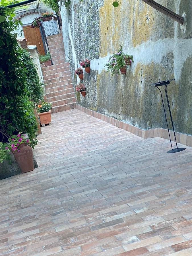 Il Limoneto Di Teresa Amalfi Coast Apartment Maiori Exterior photo